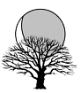 Tangle Moon Logo